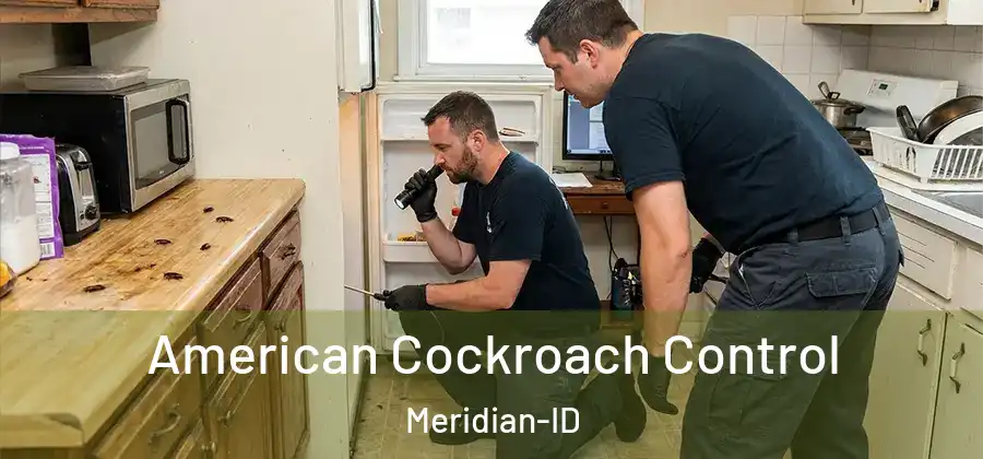 American Cockroach Control Meridian-ID