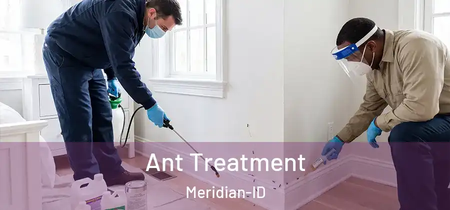 Ant Treatment Meridian-ID