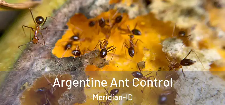  Argentine Ant Control Meridian-ID