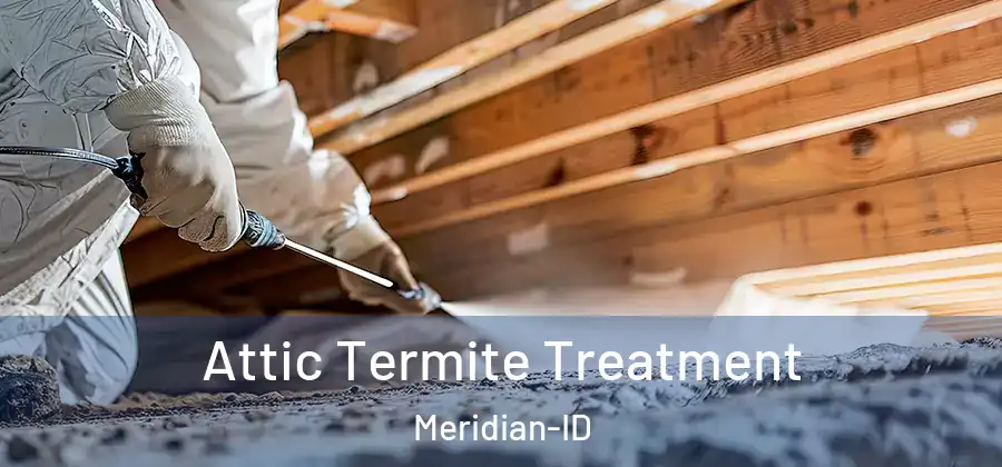 Attic Termite Treatment Meridian-ID