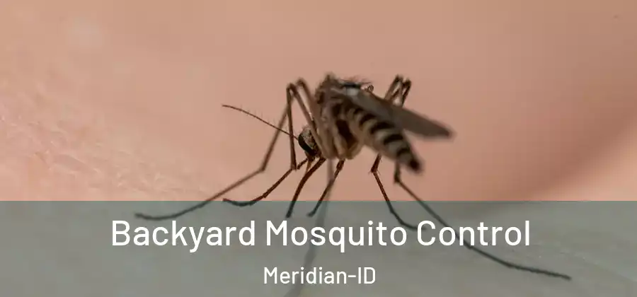 Backyard Mosquito Control Meridian-ID