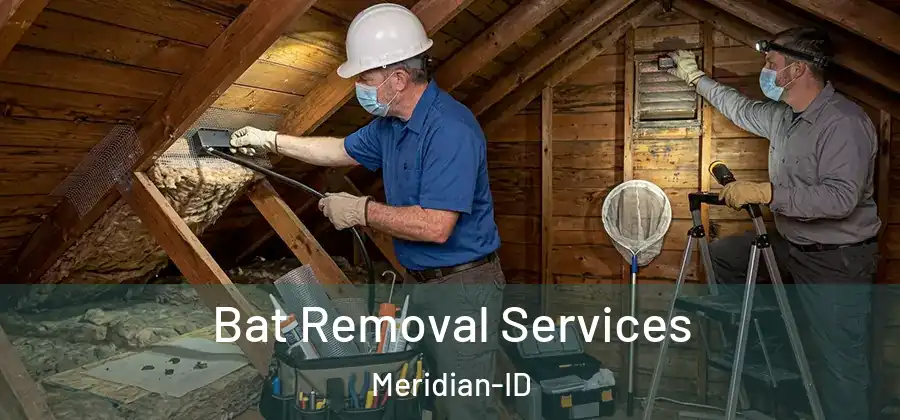 Bat Removal Services Meridian-ID