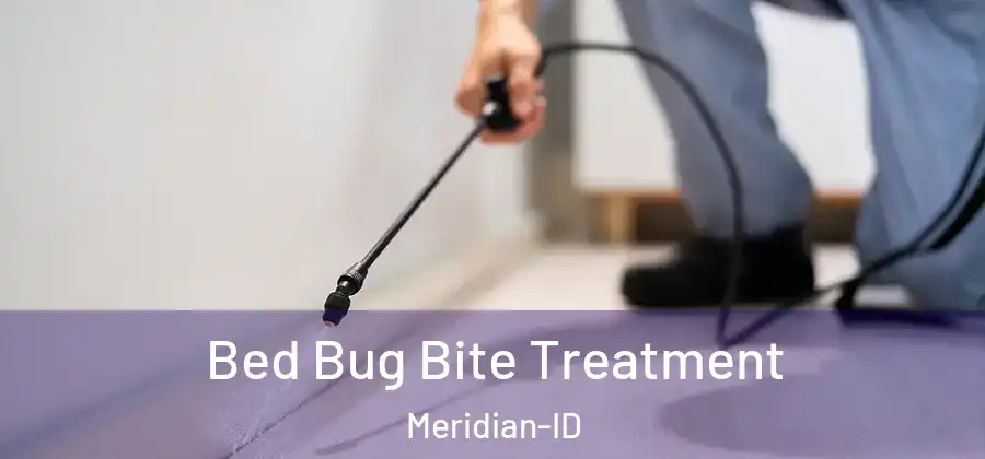 Bed Bug Bite Treatment Meridian-ID