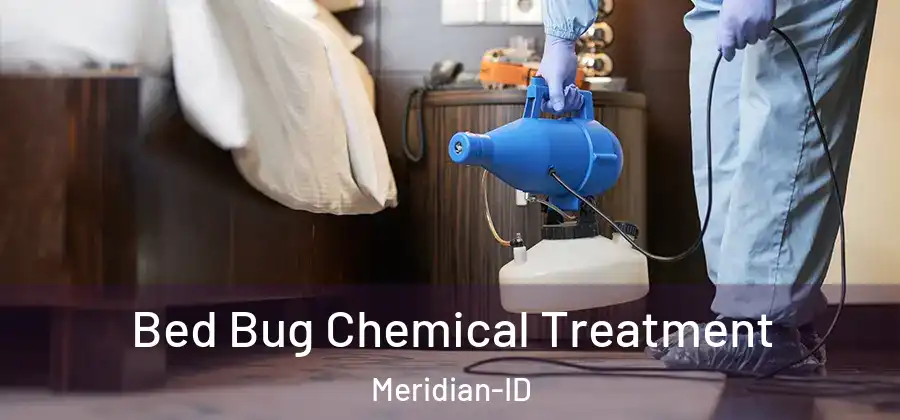 Bed Bug Chemical Treatment Meridian-ID