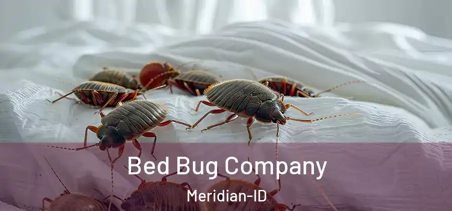 Bed Bug Company Meridian-ID
