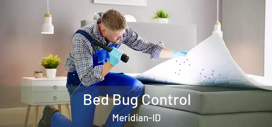  Bed Bug Control Meridian-ID