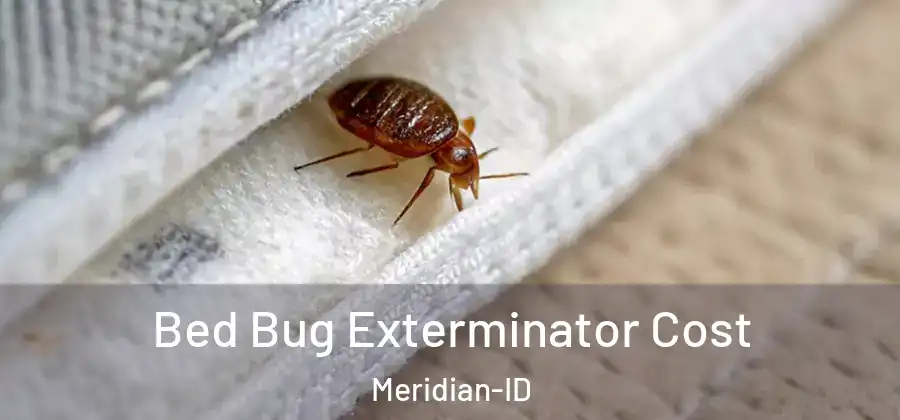 Bed Bug Exterminator Cost Meridian-ID