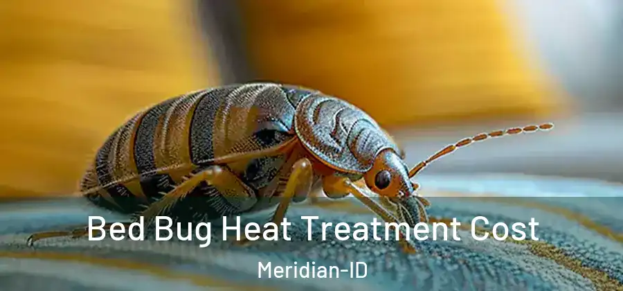 Bed Bug Heat Treatment Cost Meridian-ID