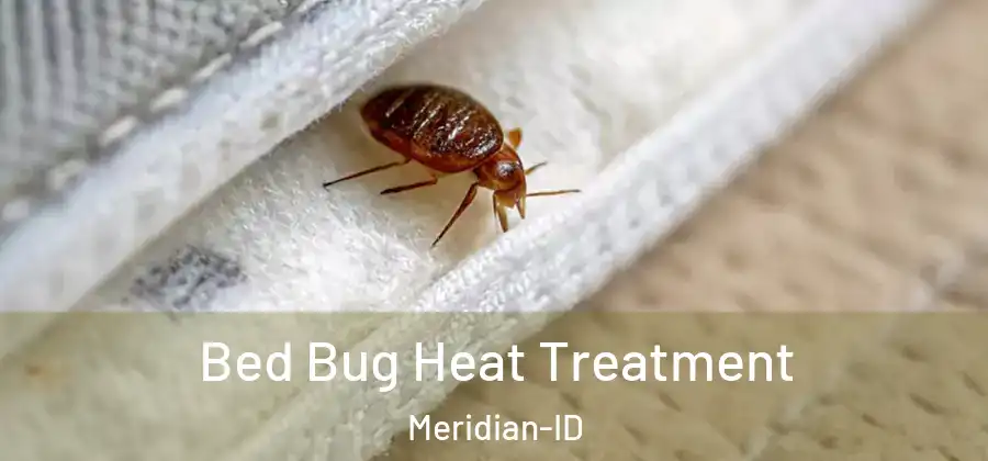 Bed Bug Heat Treatment Meridian-ID