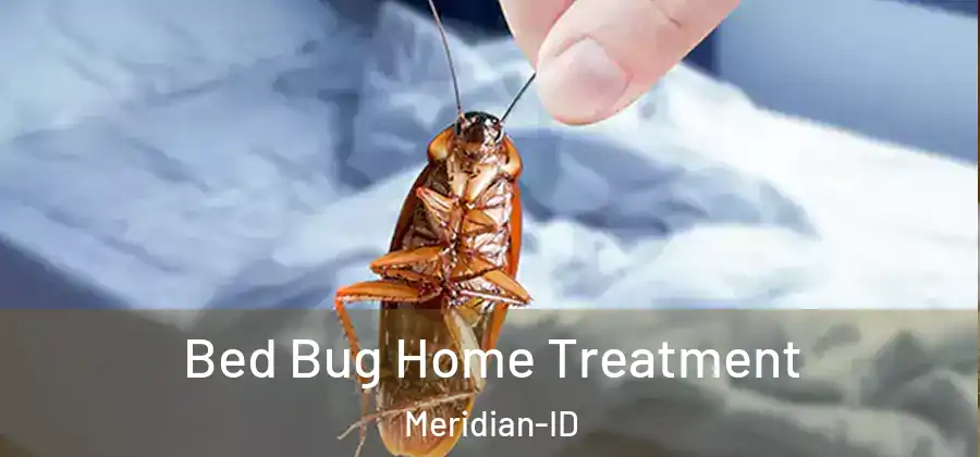 Bed Bug Home Treatment Meridian-ID