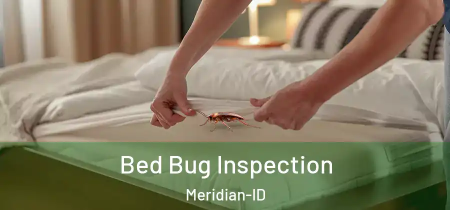 Bed Bug Inspection Meridian-ID