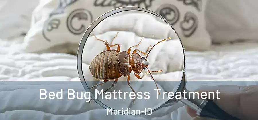  Bed Bug Mattress Treatment Meridian-ID