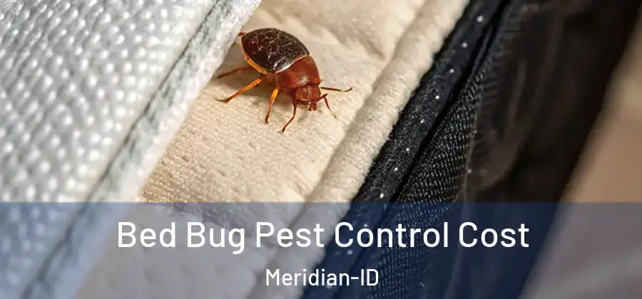 Bed Bug Pest Control Cost Meridian-ID