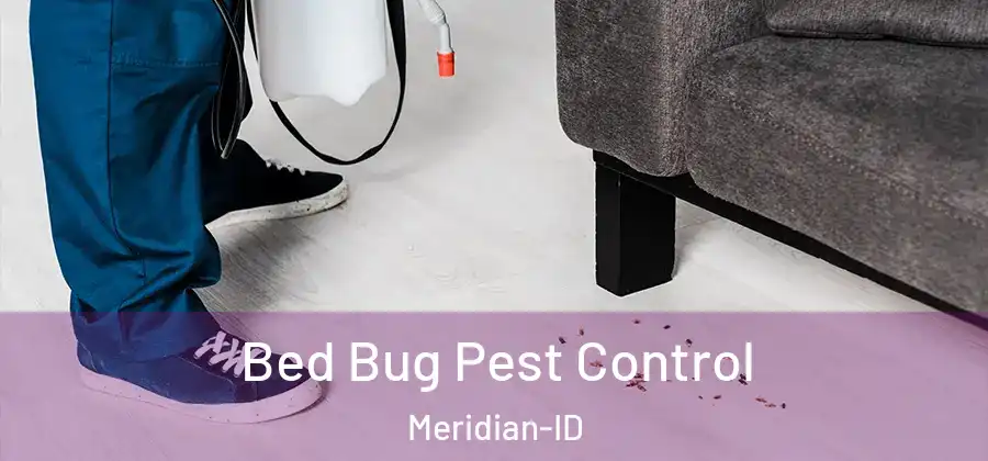 Bed Bug Pest Control Meridian-ID