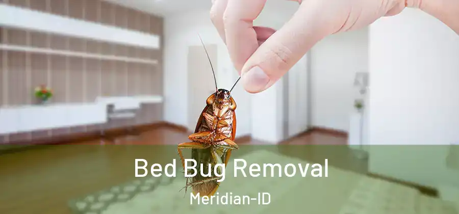 Bed Bug Removal Meridian-ID