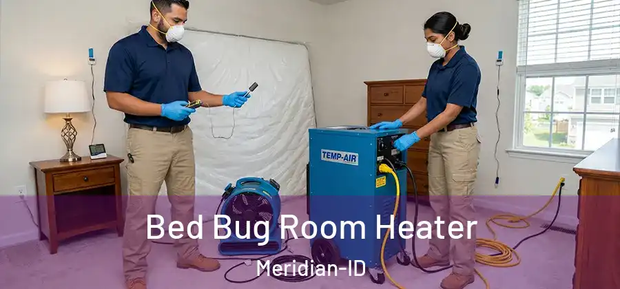  Bed Bug Room Heater Meridian-ID