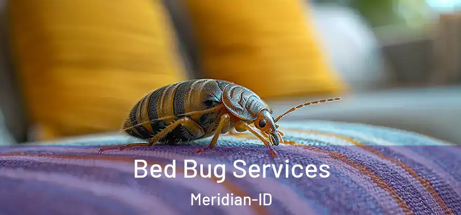 Bed Bug Services Meridian-ID
