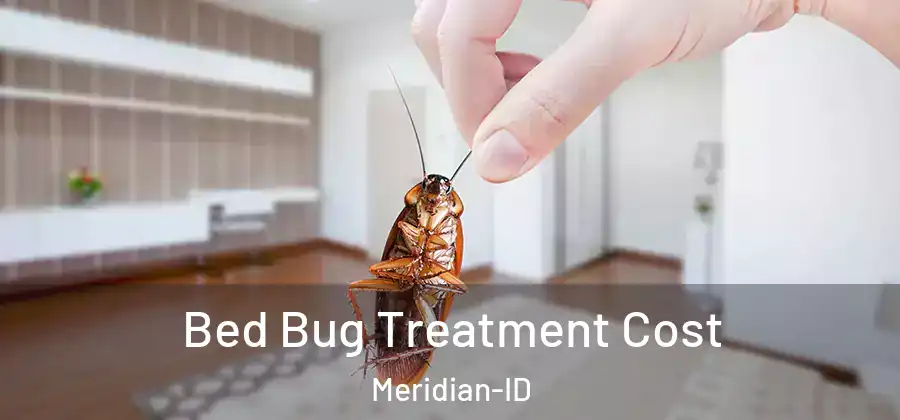  Bed Bug Treatment Cost Meridian-ID