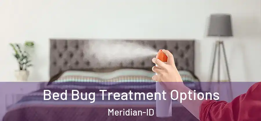 Bed Bug Treatment Options Meridian-ID