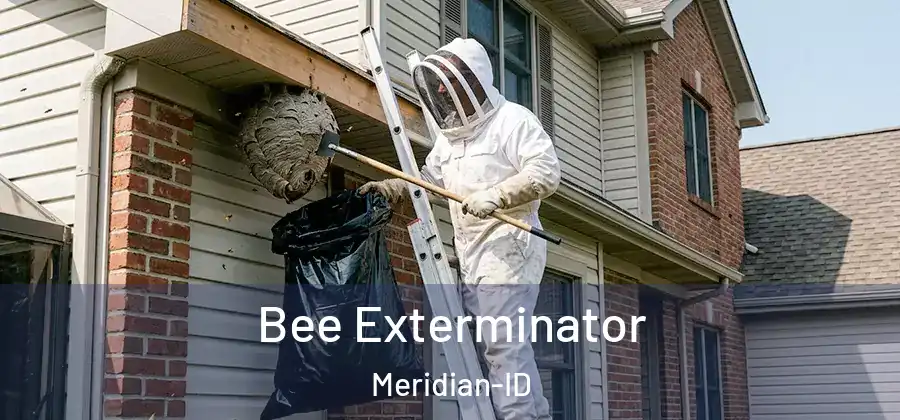 Bee Exterminator Meridian-ID