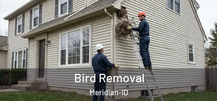  Bird Removal Meridian-ID