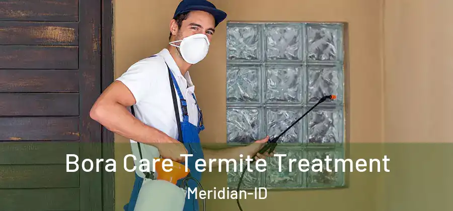  Bora Care Termite Treatment Meridian-ID