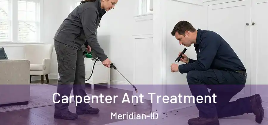 Carpenter Ant Treatment Meridian-ID