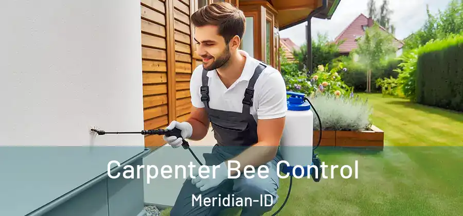 Carpenter Bee Control Meridian-ID
