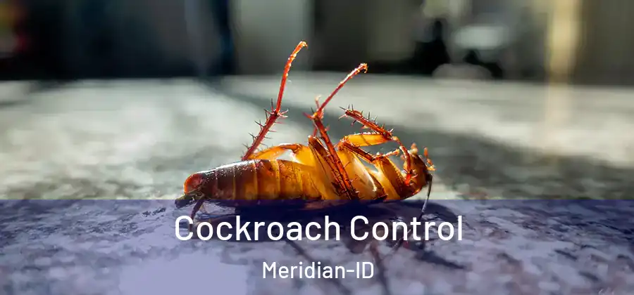 Cockroach Control Meridian-ID