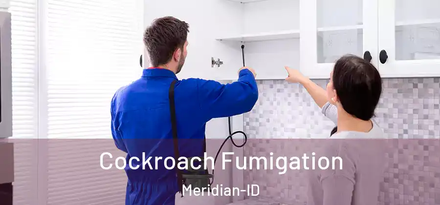 Cockroach Fumigation Meridian-ID
