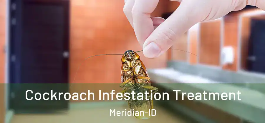 Cockroach Infestation Treatment Meridian-ID