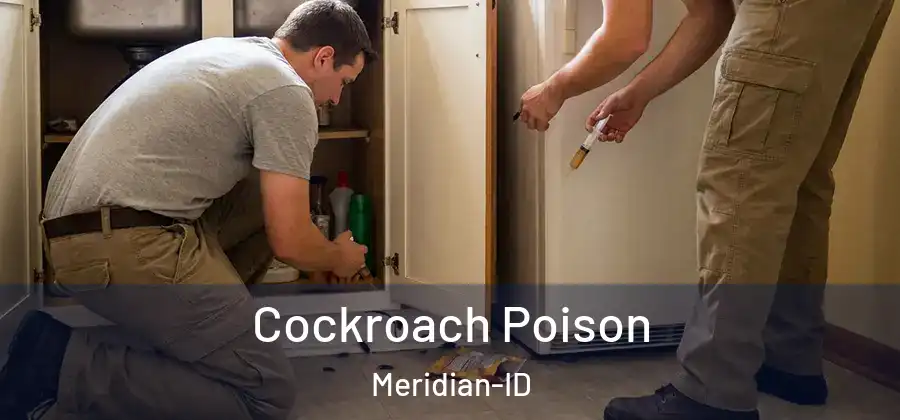  Cockroach Poison Meridian-ID