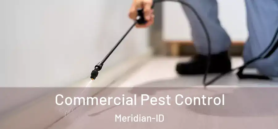 Commercial Pest Control Meridian-ID