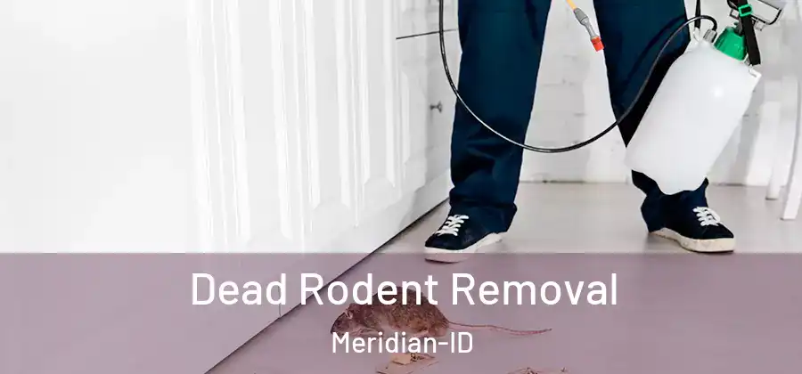  Dead Rodent Removal Meridian-ID