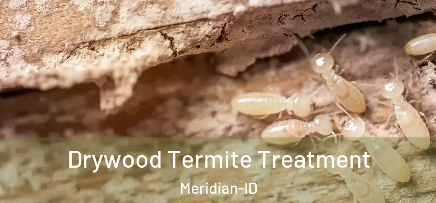 Drywood Termite Treatment Meridian-ID