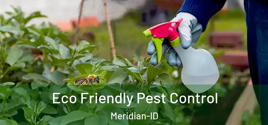  Eco Friendly Pest Control Meridian-ID