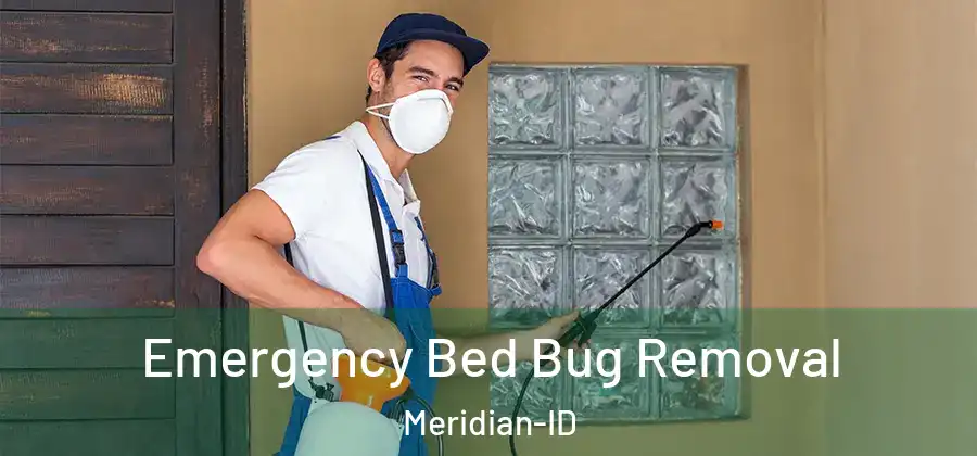 Emergency Bed Bug Removal Meridian-ID