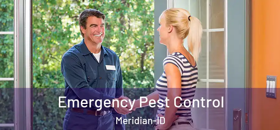  Emergency Pest Control Meridian-ID