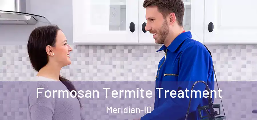 Formosan Termite Treatment Meridian-ID