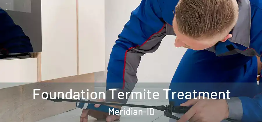 Foundation Termite Treatment Meridian-ID