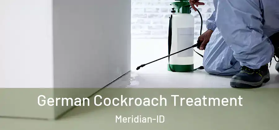 German Cockroach Treatment Meridian-ID