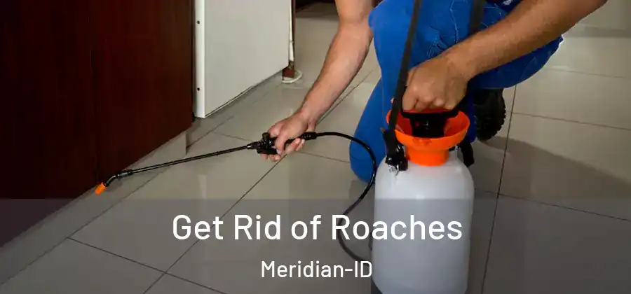 Get Rid of Roaches Meridian-ID