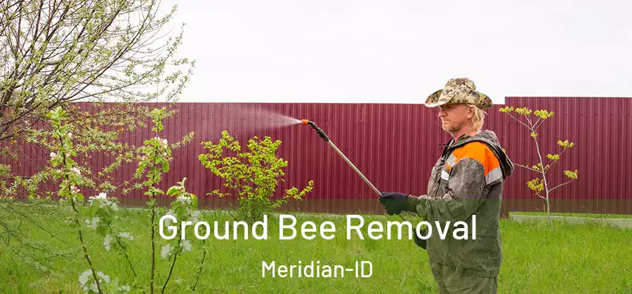 Ground Bee Removal Meridian-ID