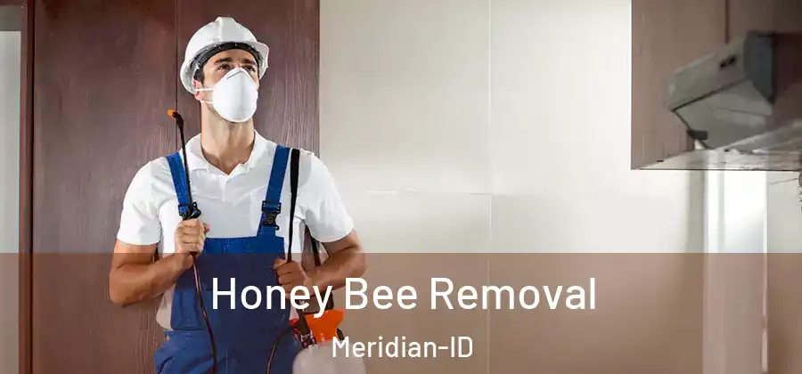 Honey Bee Removal Meridian-ID