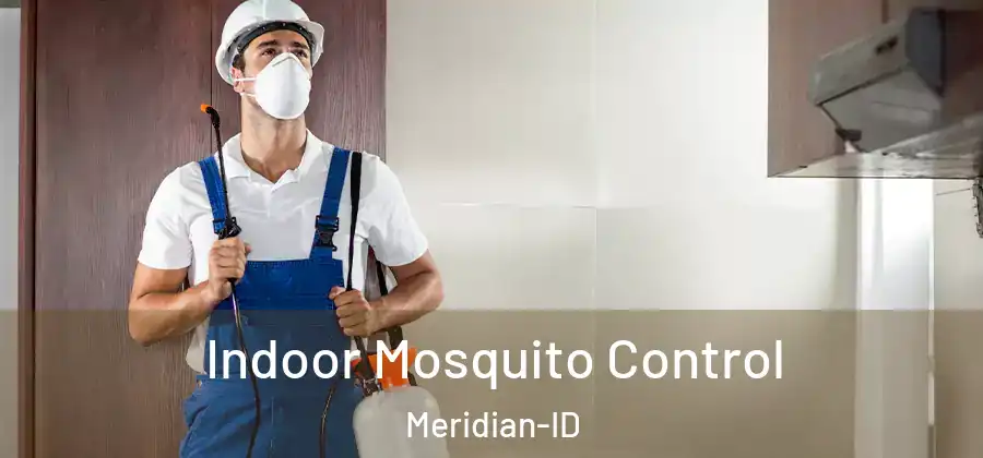  Indoor Mosquito Control Meridian-ID
