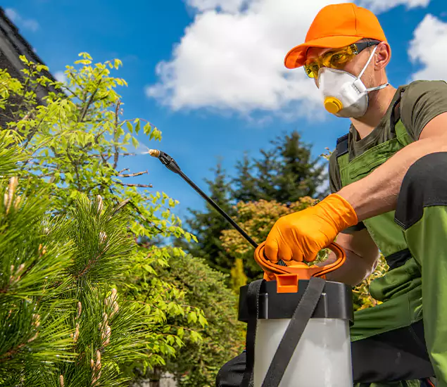 Your Mosquito Repellent Barrier Service in Meridian, ID