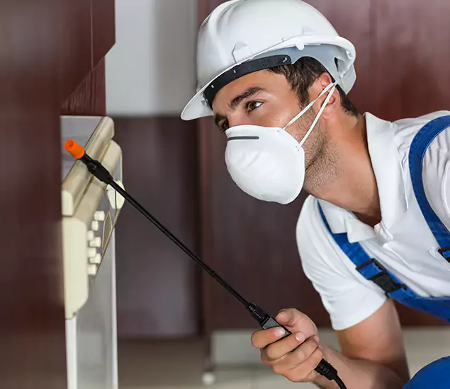 Expert Cockroach Exterminator: Your Roach Control Services in Meridian, ID