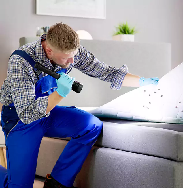 Why Choose Meridian Pest Control Pro For Bed Bug Heat Treatment in Meridian, ID?