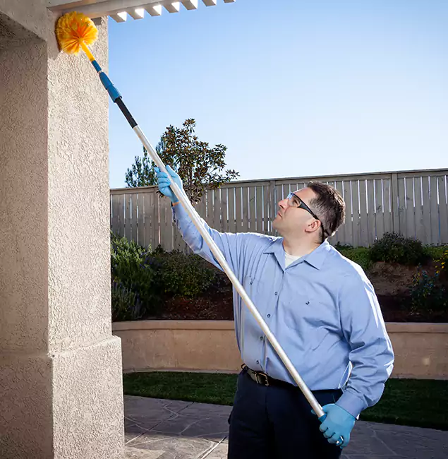 Why Choose Meridian Pest Control Pro for Foundation Termite Treatment in Meridian, ID?