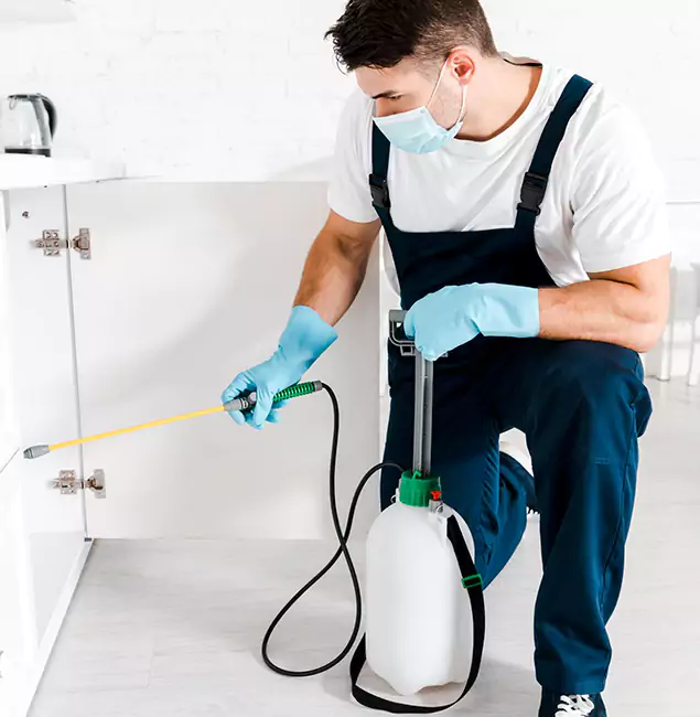 Why Choose Meridian Pest Control Pro for Indoor Pest Control in Meridian, ID?